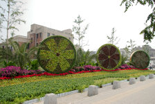 Suured lilledest rattad