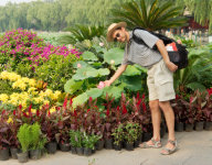 Lootosed ja muud lilled