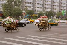 Pakivedajad jalgratastel